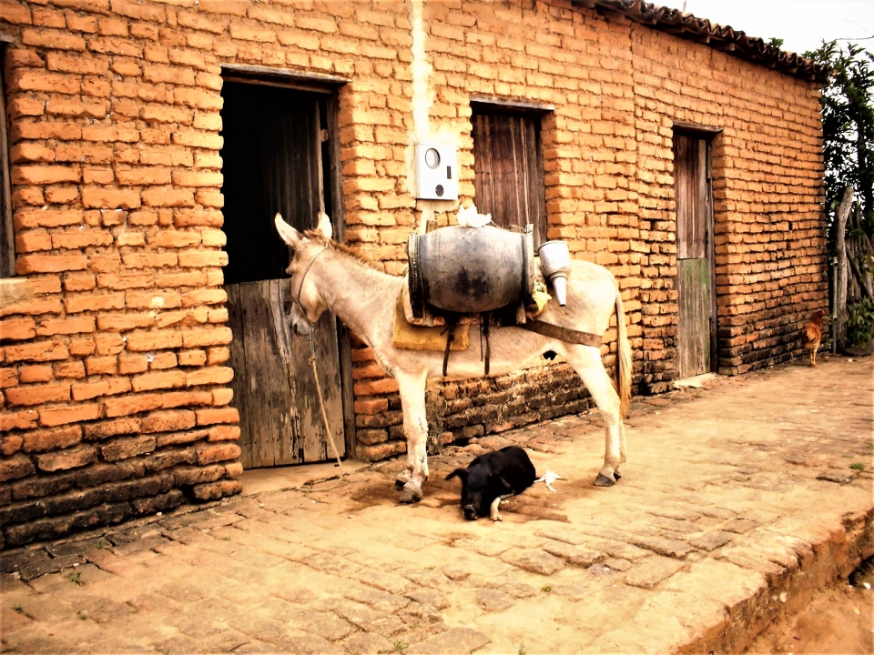 arquivo sem legenda ou nome