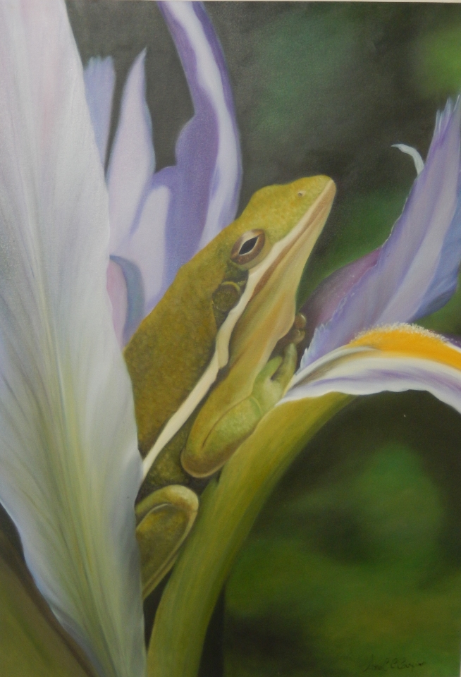 arquivo sem legenda ou nome