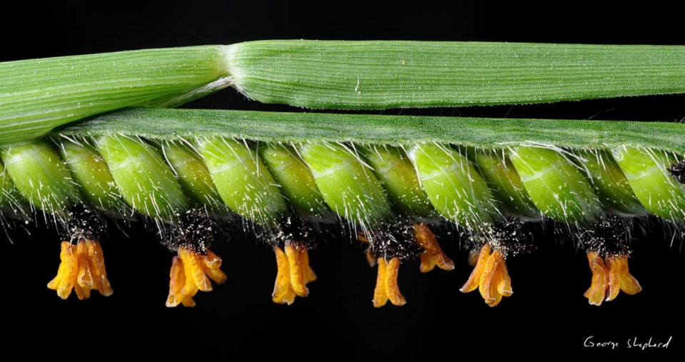 arquivo sem legenda ou nome