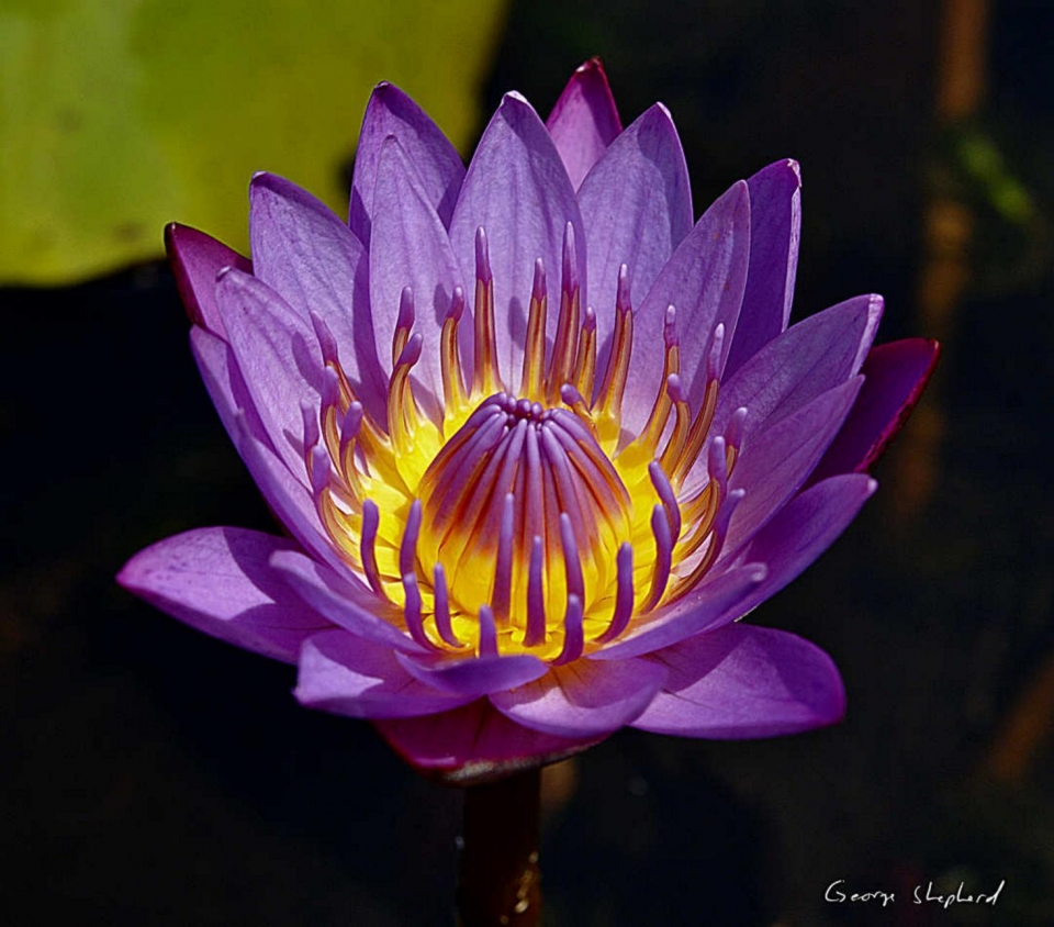 arquivo sem legenda ou nome