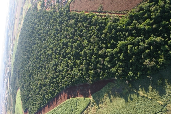 arquivo sem legenda ou nome