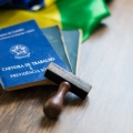 Câmara conclui votação da MP 905/2019 – contrato de trabalho verde e amarelo