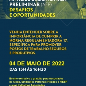 Análise Ergonômica Preliminar