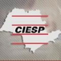 1 Pesquisa Ciesp-SineRHgia de Salrios e Prticas de Benefcios