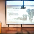 Palestra - Gesto Eficiente em Momentos de Turbulncia 