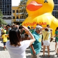 Manifestação do 13 de março - Campinas